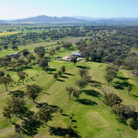 Quirindi Sunflower Motor Inn Dış mekan fotoğraf