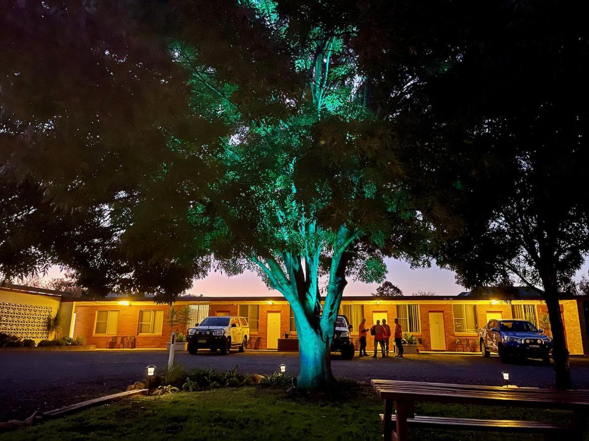 Quirindi Sunflower Motor Inn Dış mekan fotoğraf