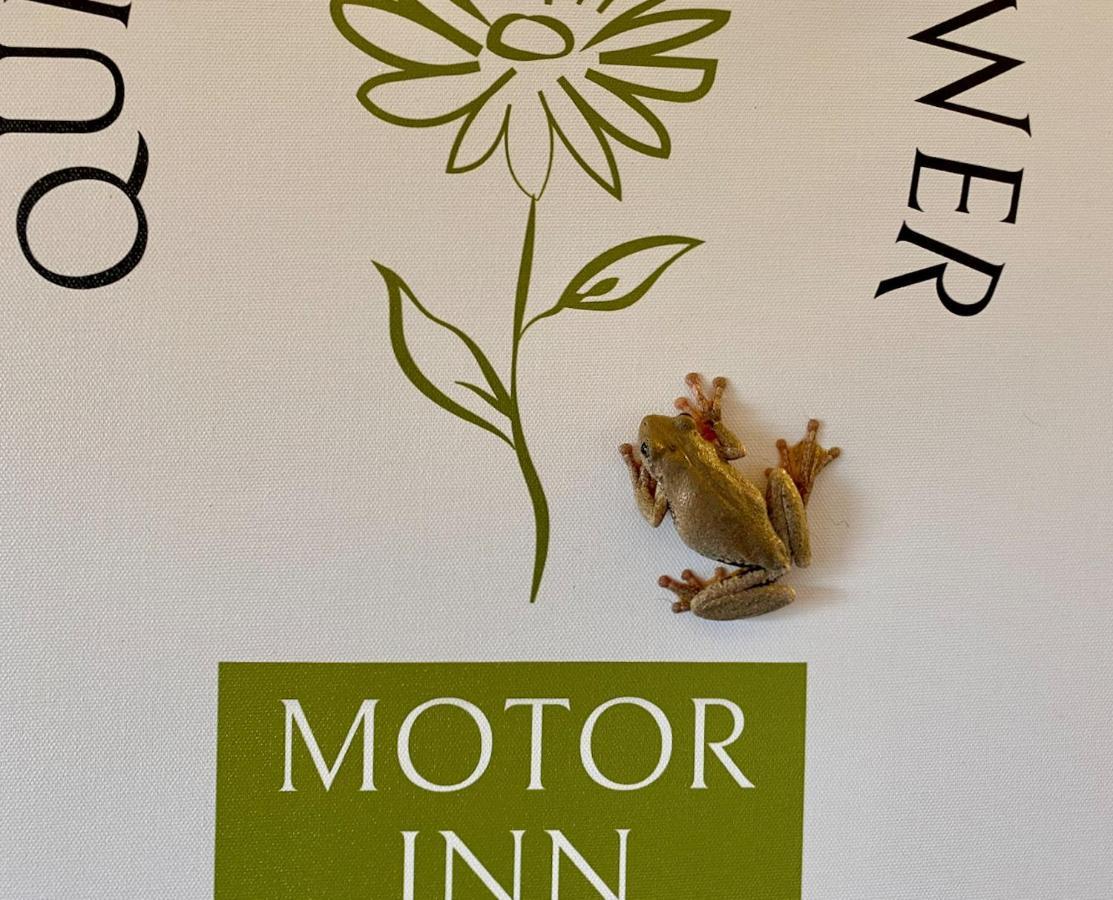 Quirindi Sunflower Motor Inn Dış mekan fotoğraf