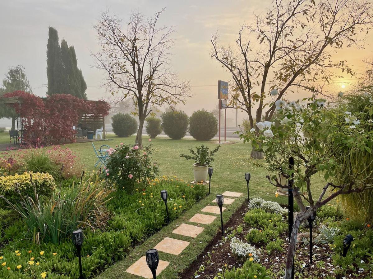 Quirindi Sunflower Motor Inn Dış mekan fotoğraf