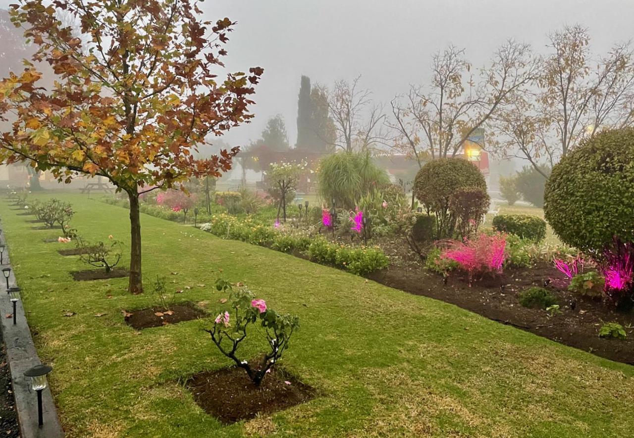 Quirindi Sunflower Motor Inn Dış mekan fotoğraf