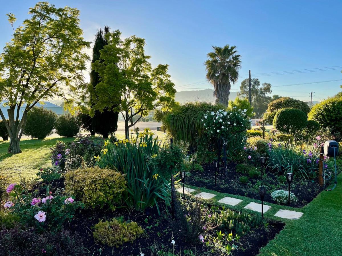 Quirindi Sunflower Motor Inn Dış mekan fotoğraf