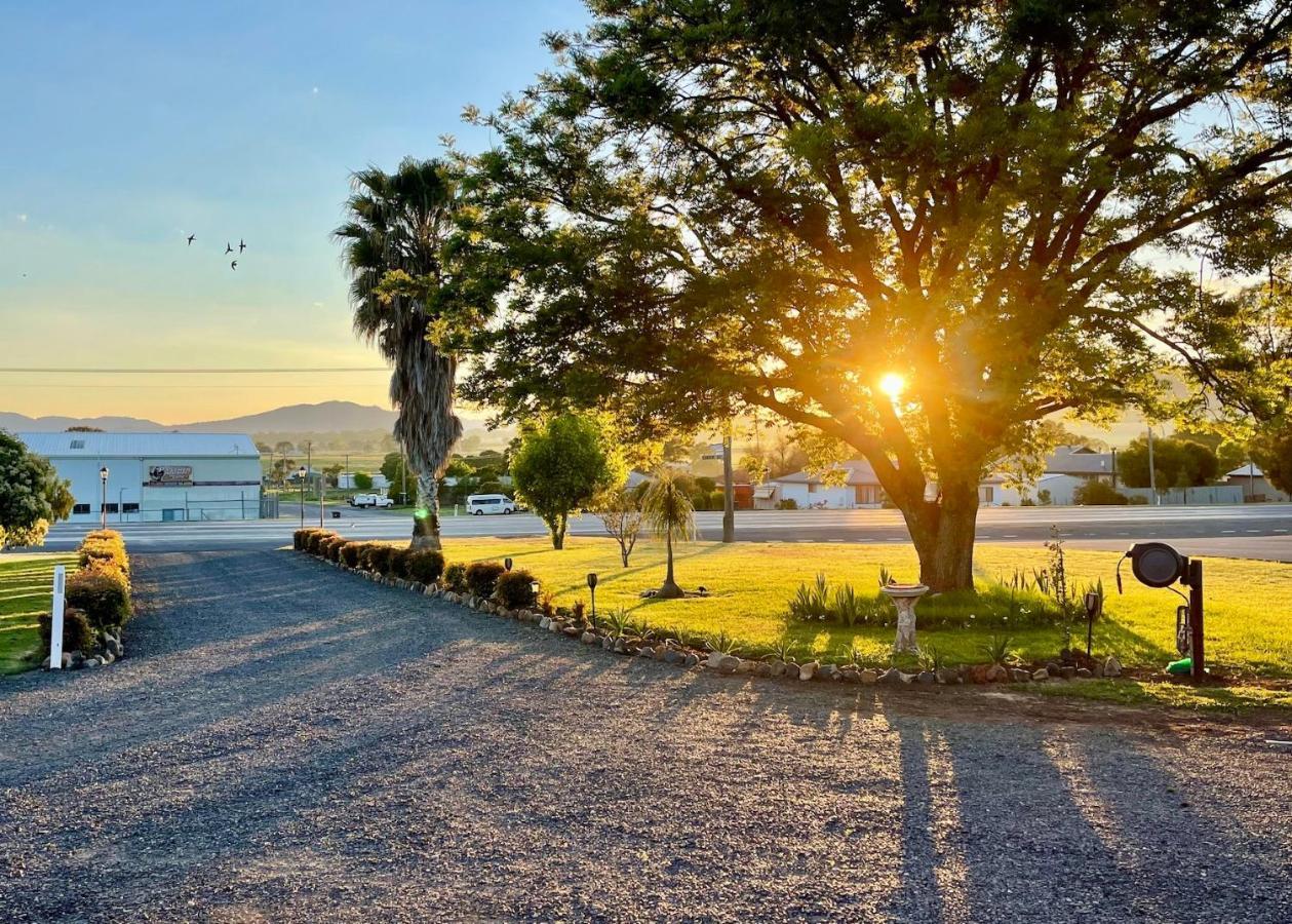 Quirindi Sunflower Motor Inn Dış mekan fotoğraf