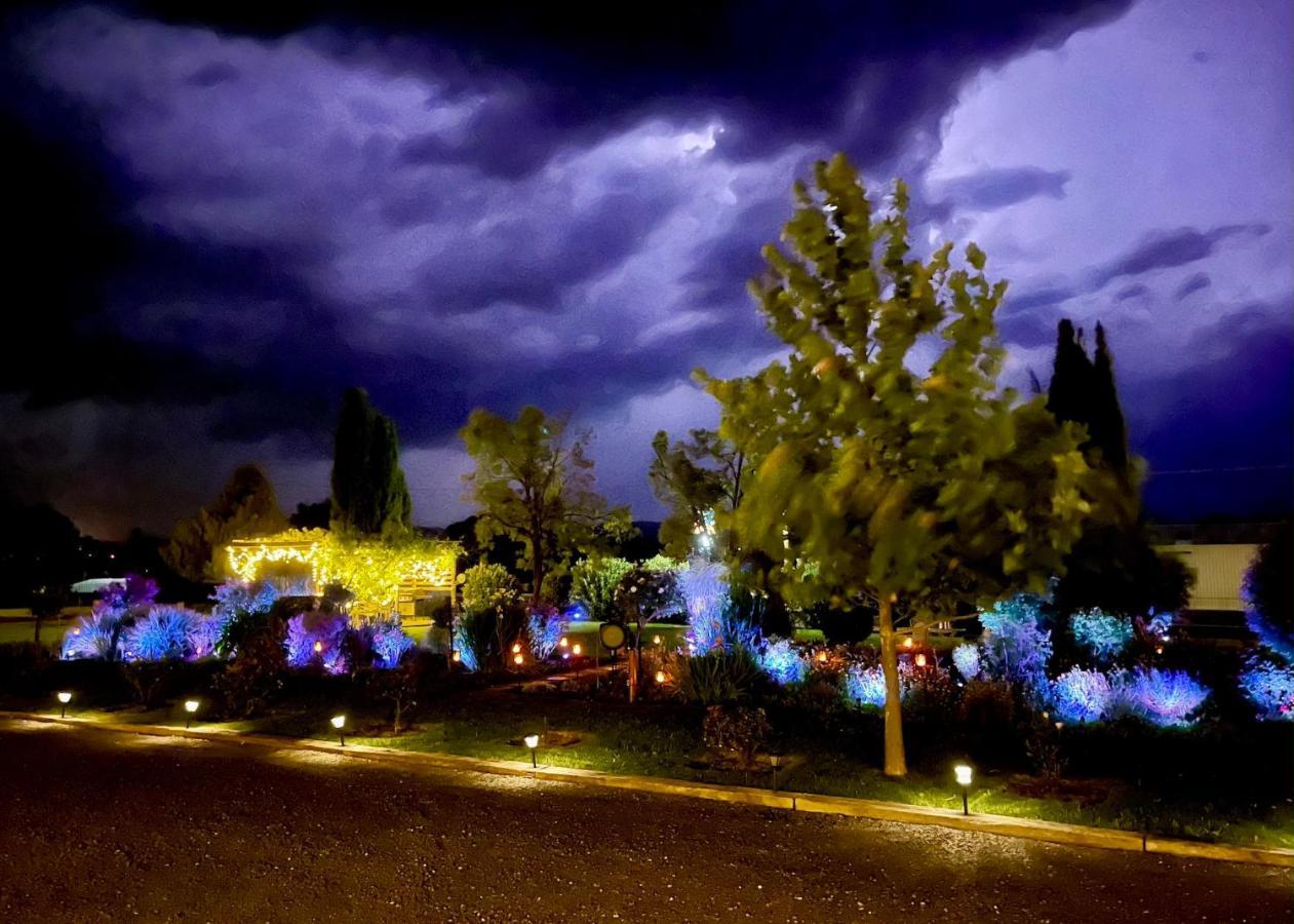 Quirindi Sunflower Motor Inn Dış mekan fotoğraf