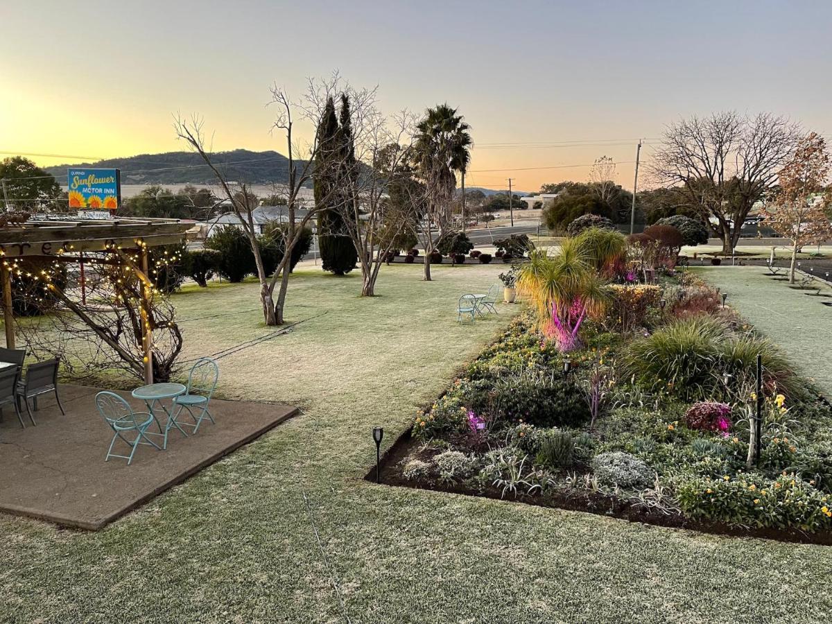 Quirindi Sunflower Motor Inn Dış mekan fotoğraf
