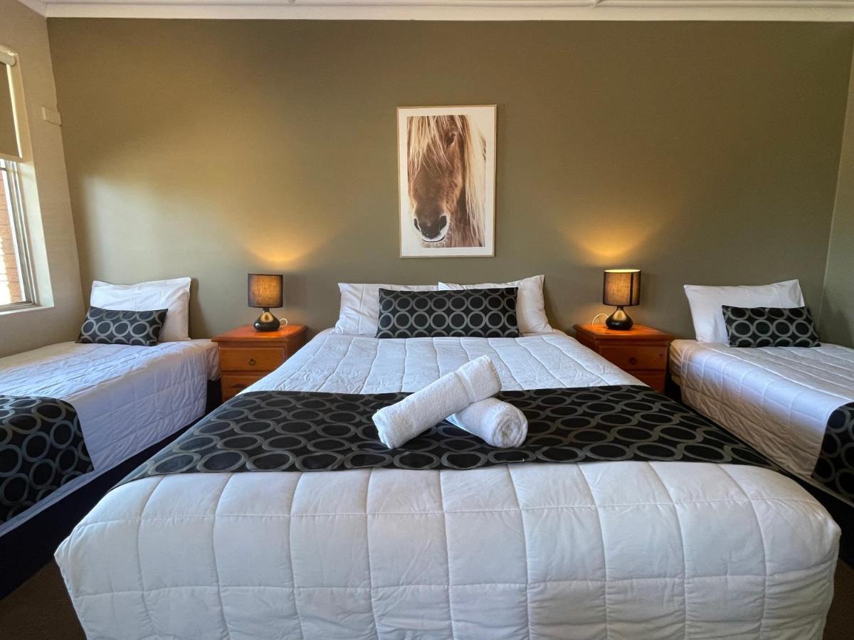 Quirindi Sunflower Motor Inn Dış mekan fotoğraf
