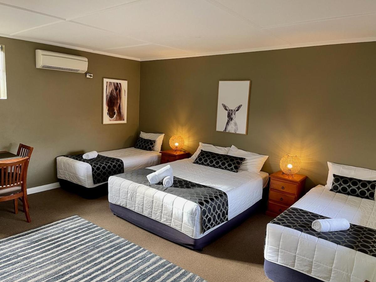 Quirindi Sunflower Motor Inn Dış mekan fotoğraf