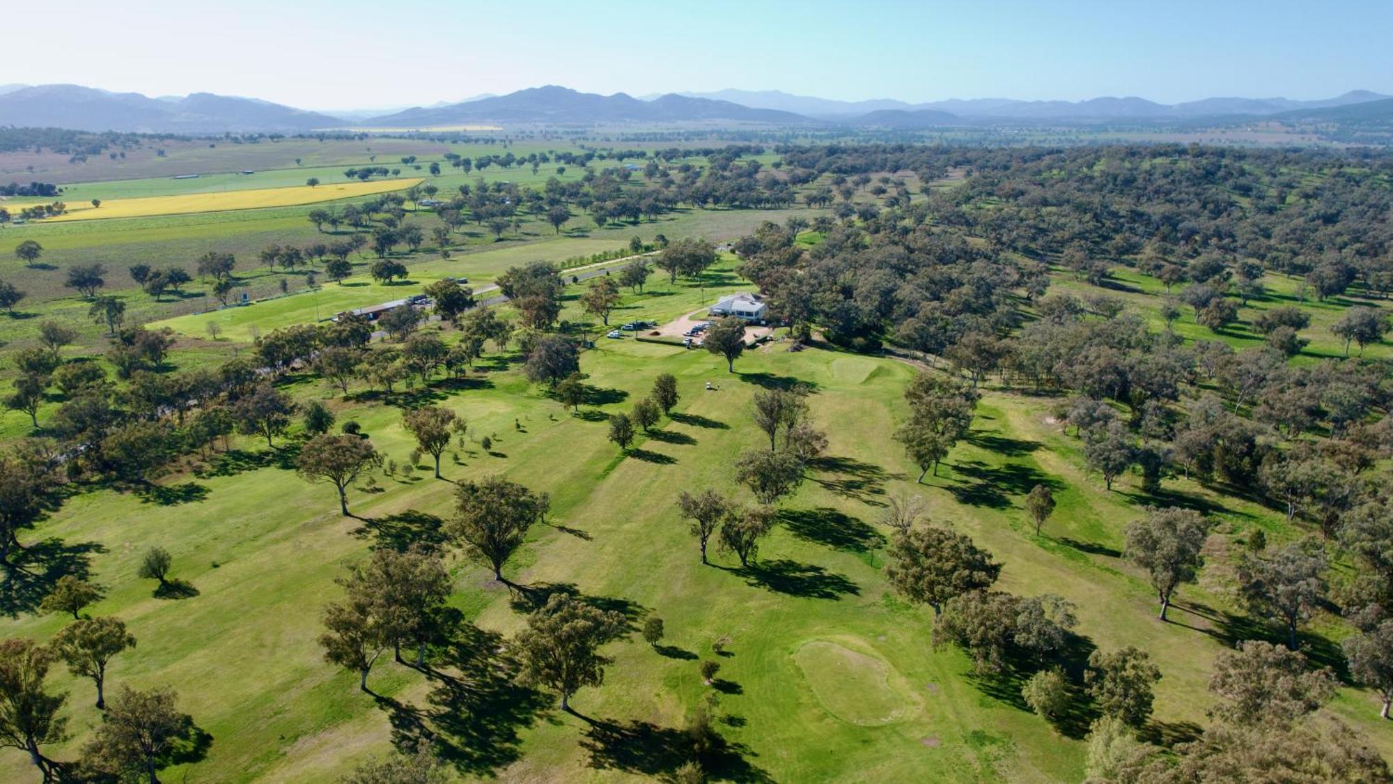 Quirindi Sunflower Motor Inn Dış mekan fotoğraf
