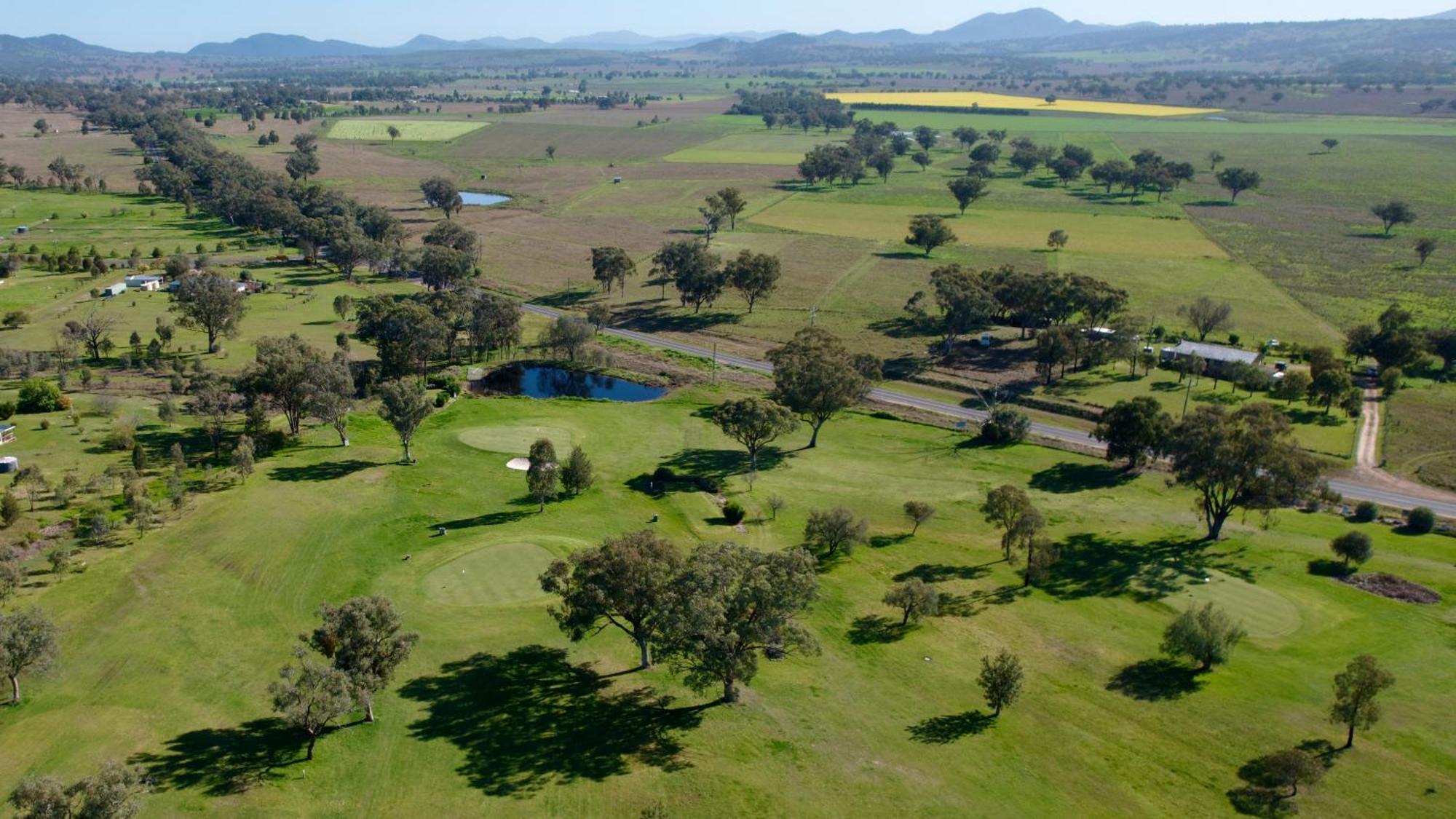 Quirindi Sunflower Motor Inn Dış mekan fotoğraf