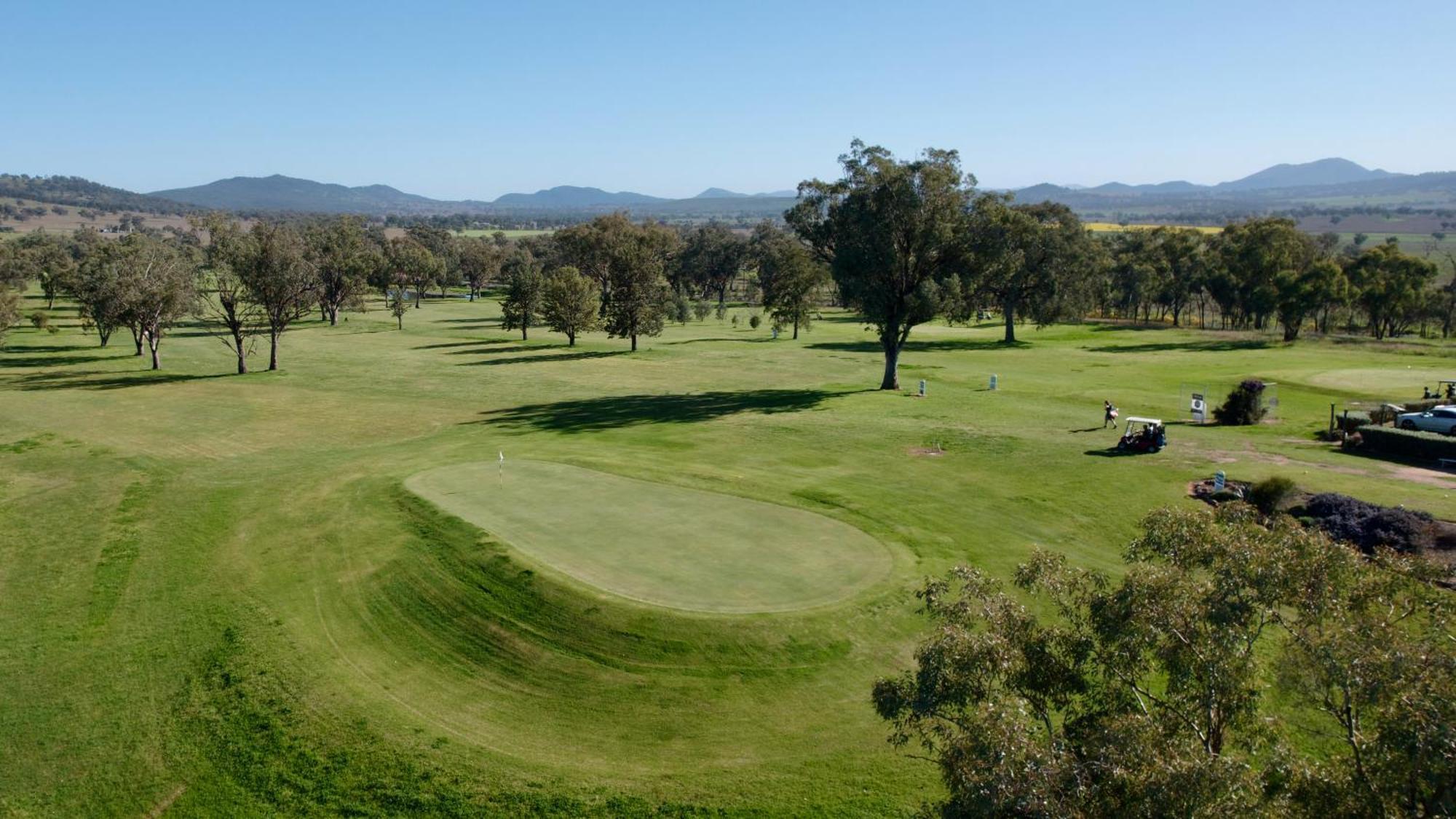 Quirindi Sunflower Motor Inn Dış mekan fotoğraf